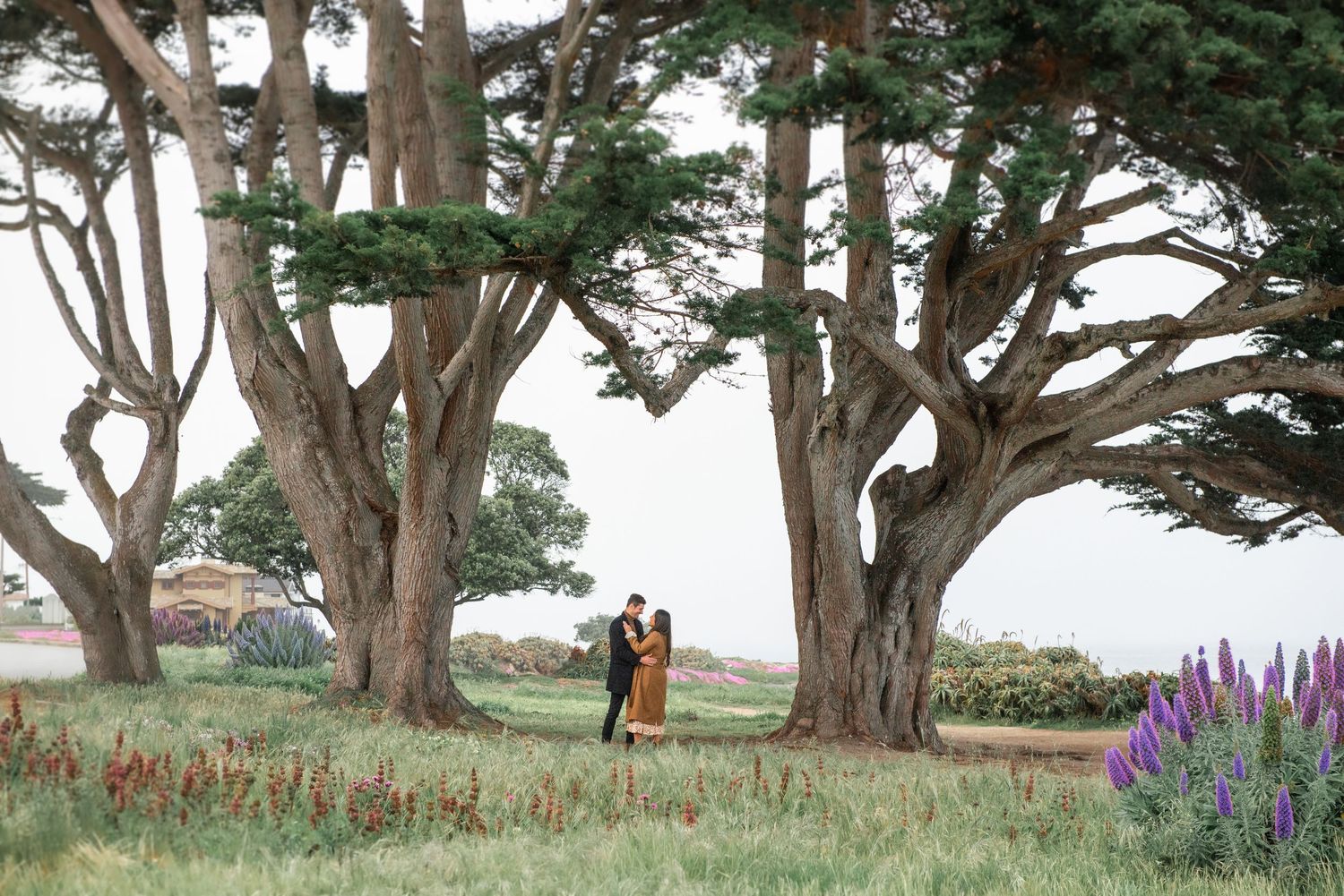 Monterey engagement session