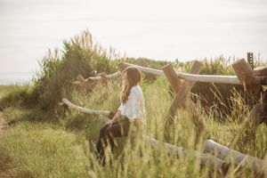 A horse grazes in a sunlit meadow with tall grass and wildflowers while a plane flies overhead in the distance.