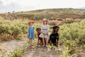 Two Rottweiler dogs stand on a dirt path alongside children in summer dresses on a sunny hillside.