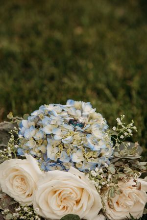 A close-up view of delicate cream roses and light blue hydrangeas arranged together in a romantic floral display.