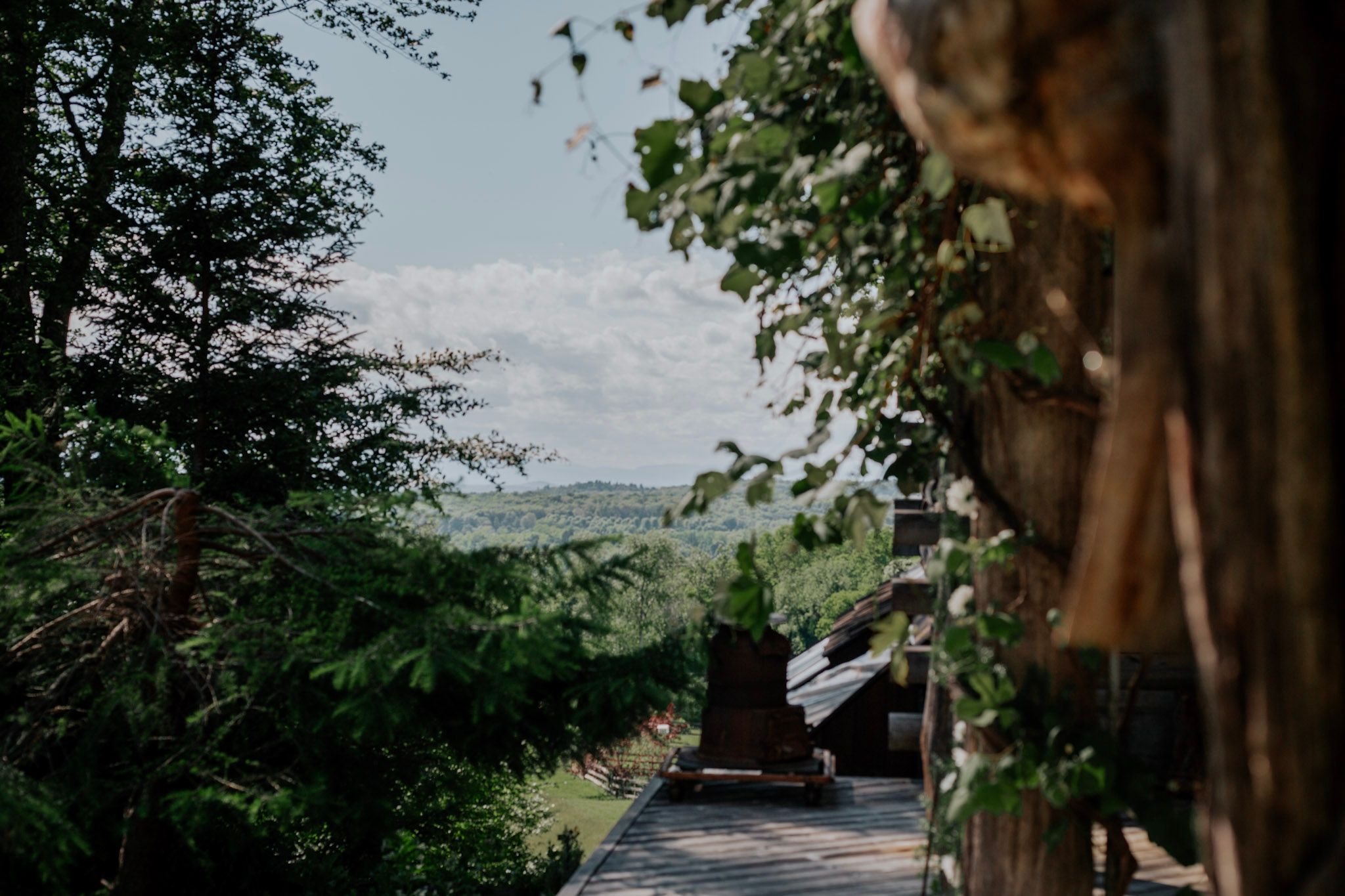 A scenic wooden walkway leads through lush green trees with rolling hills visible under a cloudy sky.