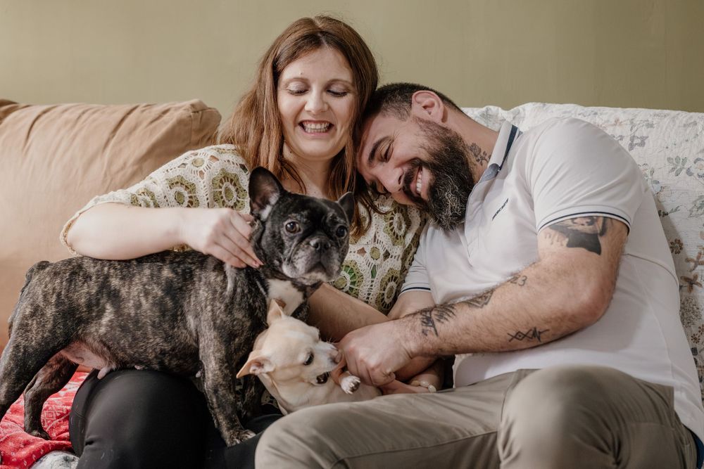 A couple relaxes at home with their dog, sharing tender moments on a couch in natural lighting.