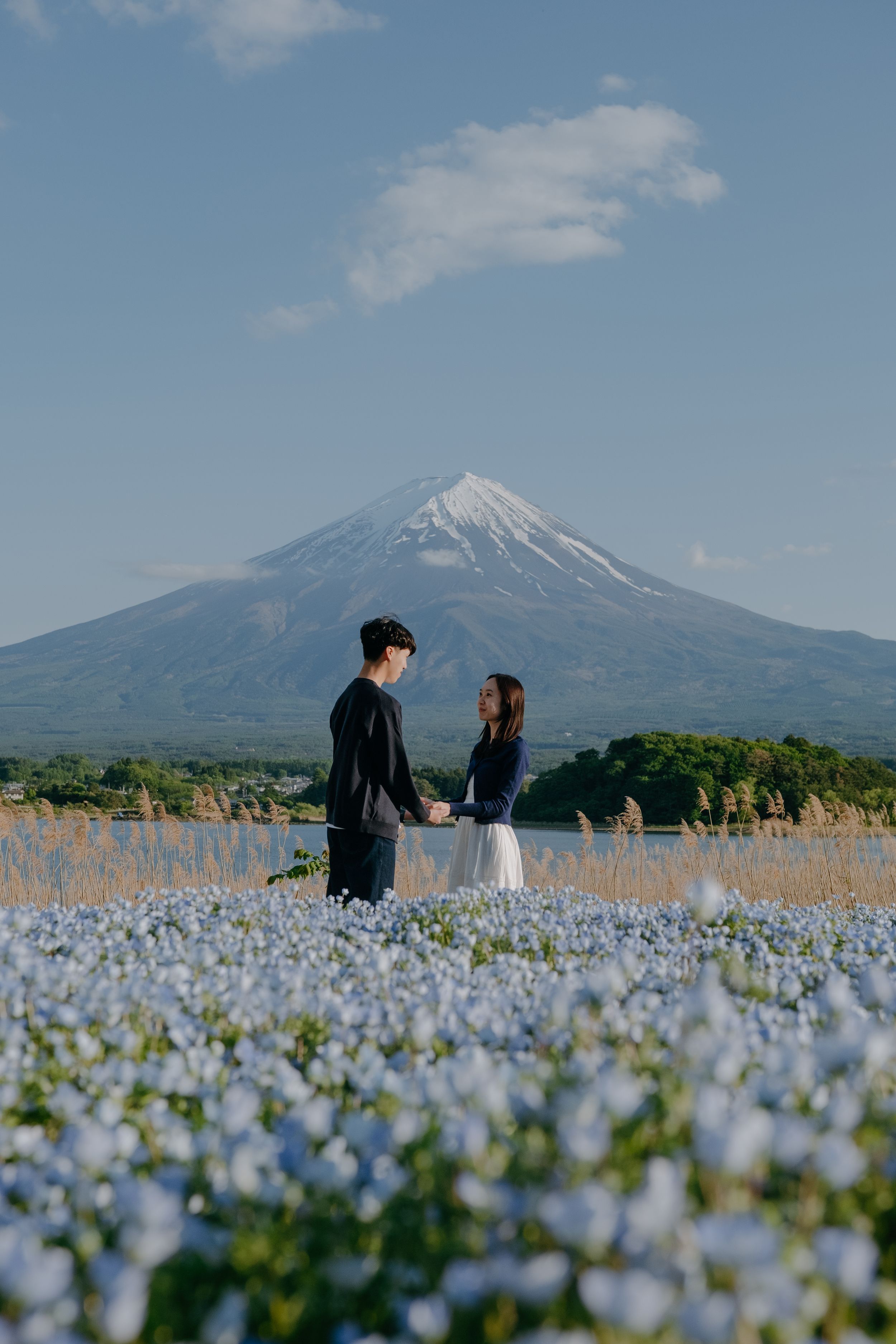 Couple holding hands in a blue flower field with snow-capped Mount Fuji in the background on a clear day.