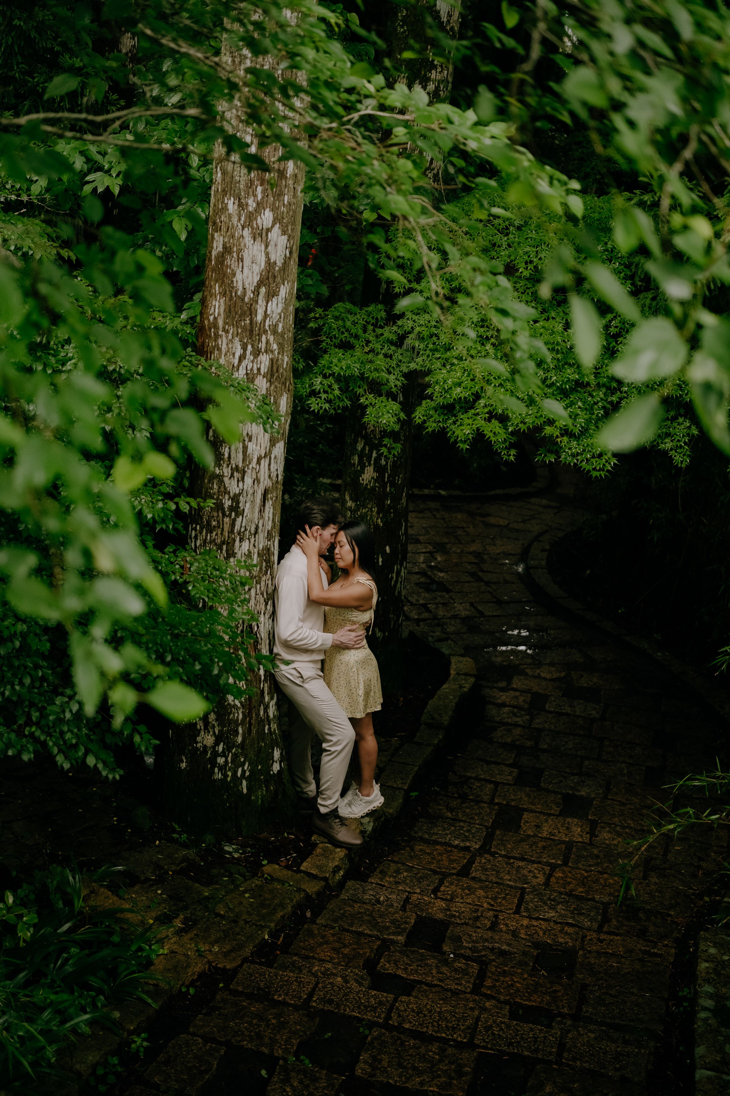 Couple embracing by a tree on a stone path surrounded by lush green forest foliage.