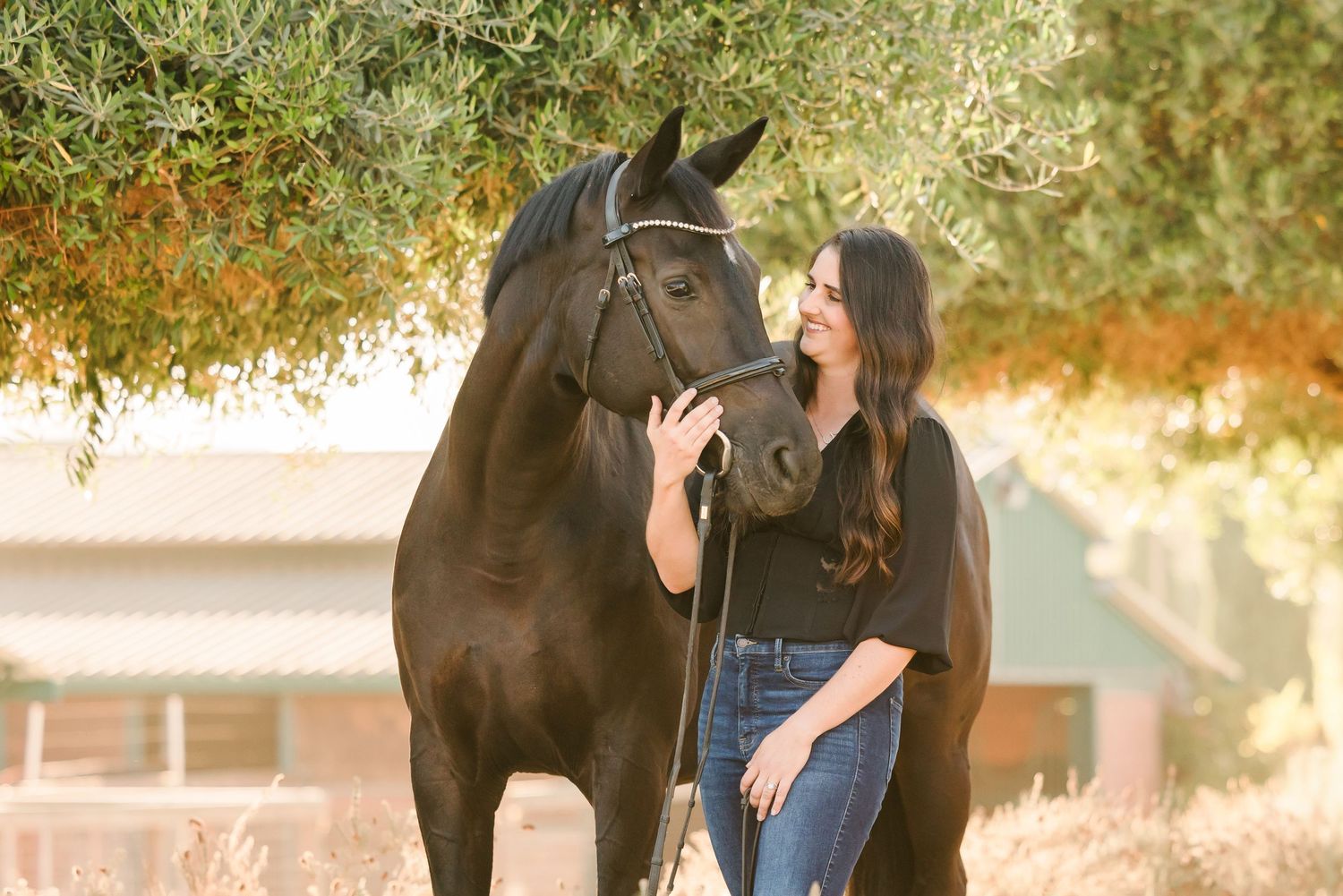 Dressage Champion Jaclyn Pepper and her horse beautifully photographed by Equine Photographer Lauren Ann Wagner