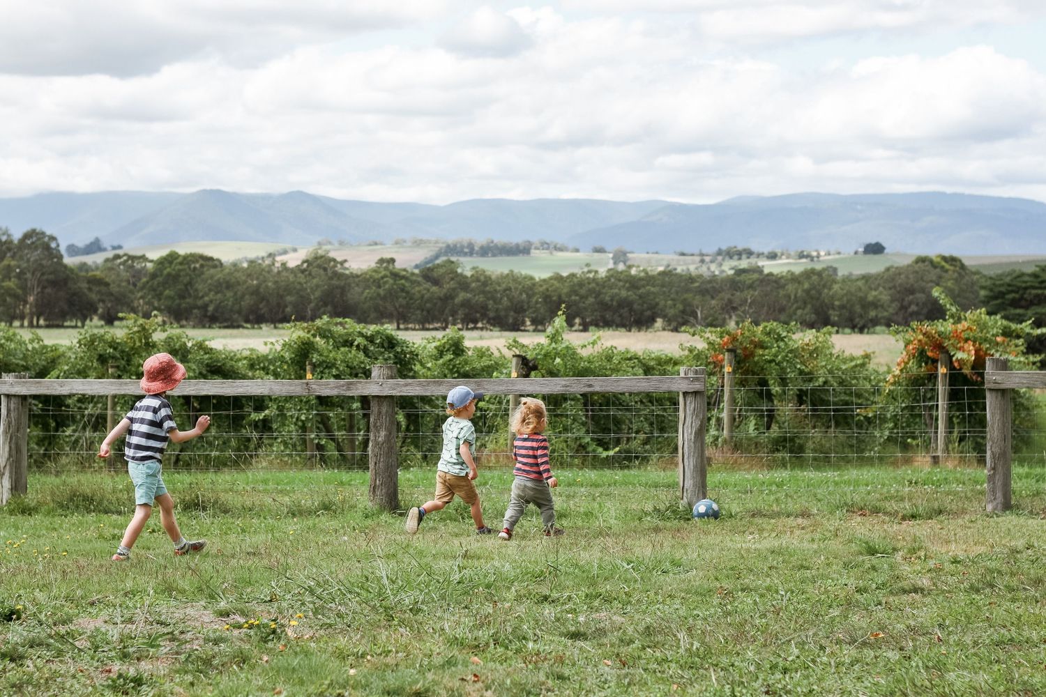 A wide panoramic view of people gathering in a grassy field with mountains in the distance.