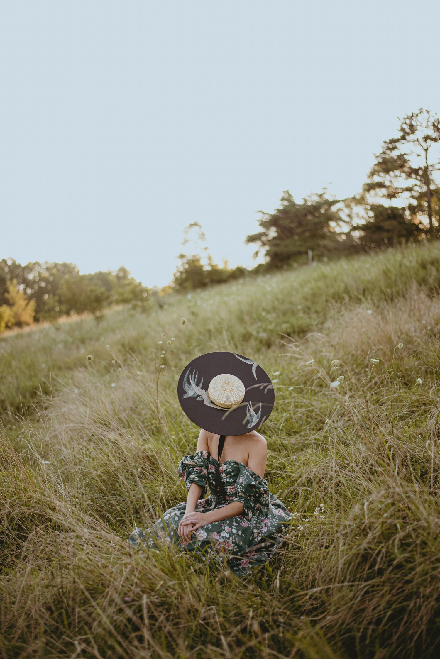 A portrait of a girl sitting in a field of grass with a hat on that has birds on it.