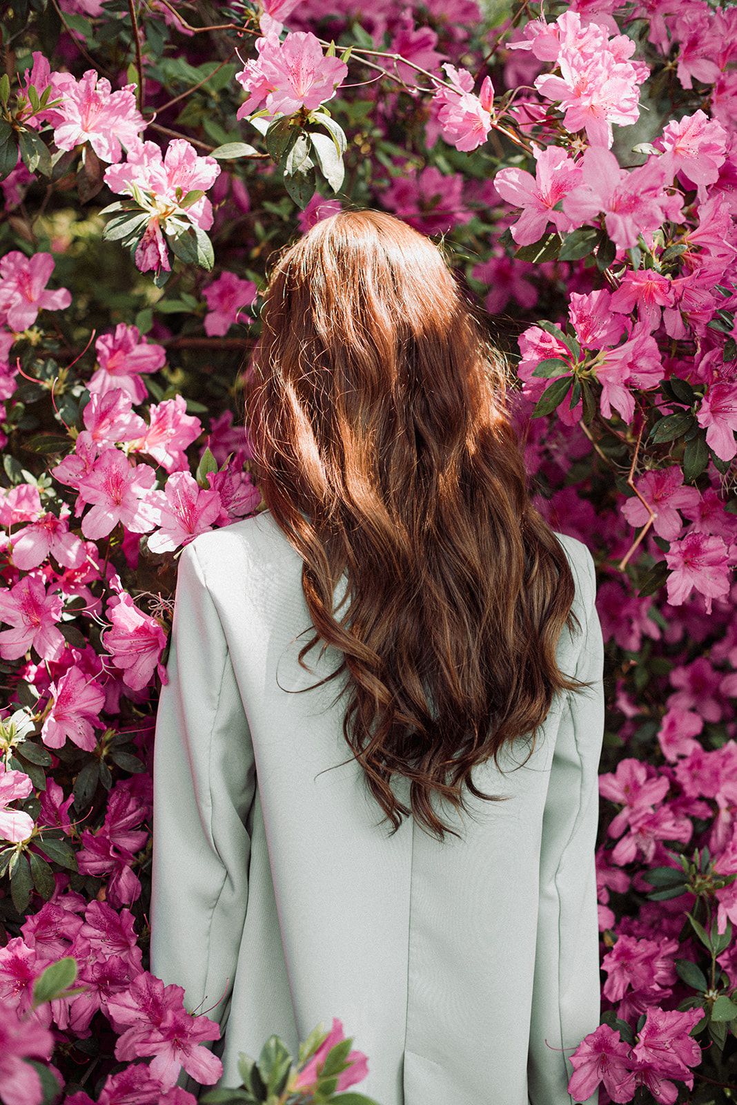 A portrait of a girl staring at pink flowers.