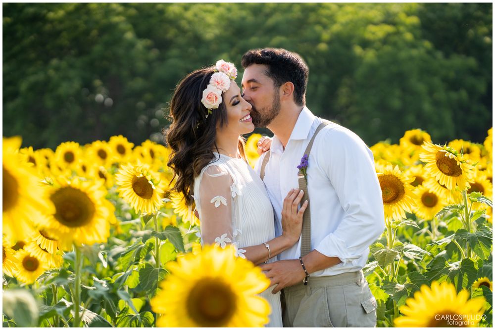 Romantic moment in vibrant sunflower field during golden hour.