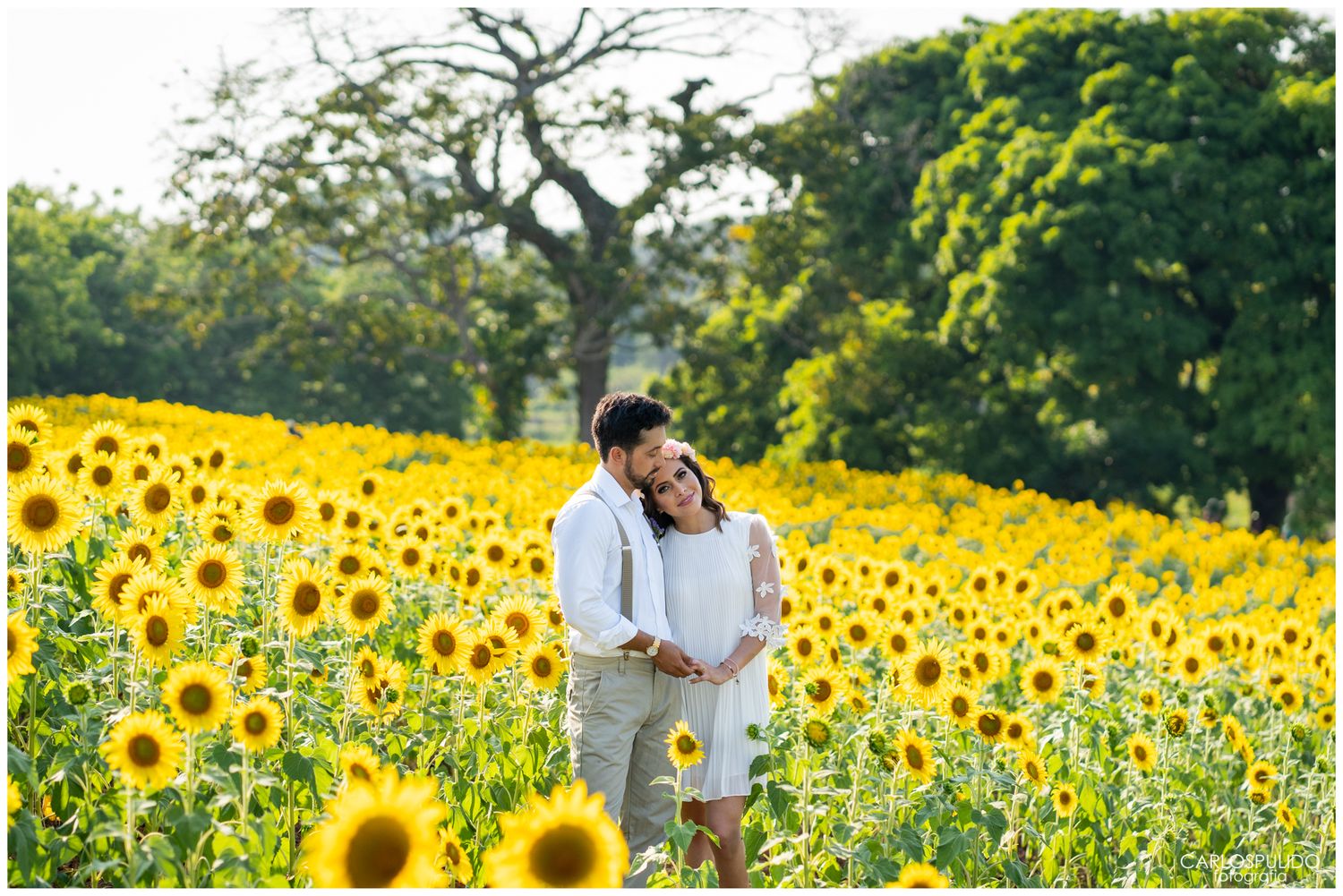 A couple shares an intimate moment surrounded by towering yellow sunflowers on a sunny afternoon.
