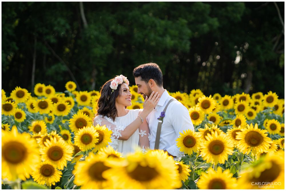A tender moment captured in a field of blooming sunflowers during a summer photoshoot.