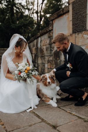 Bride and groom in wedding attire petting an Australian Shepherd dog outdoors.