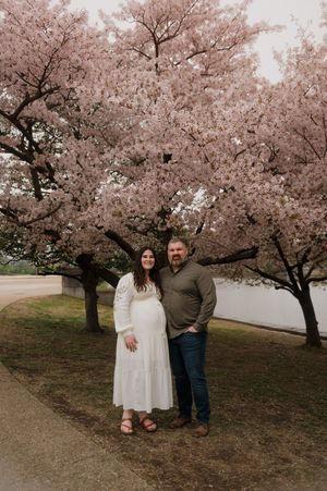 A couple stands together beneath pink cherry blossom trees during their maternity photoshoot.
