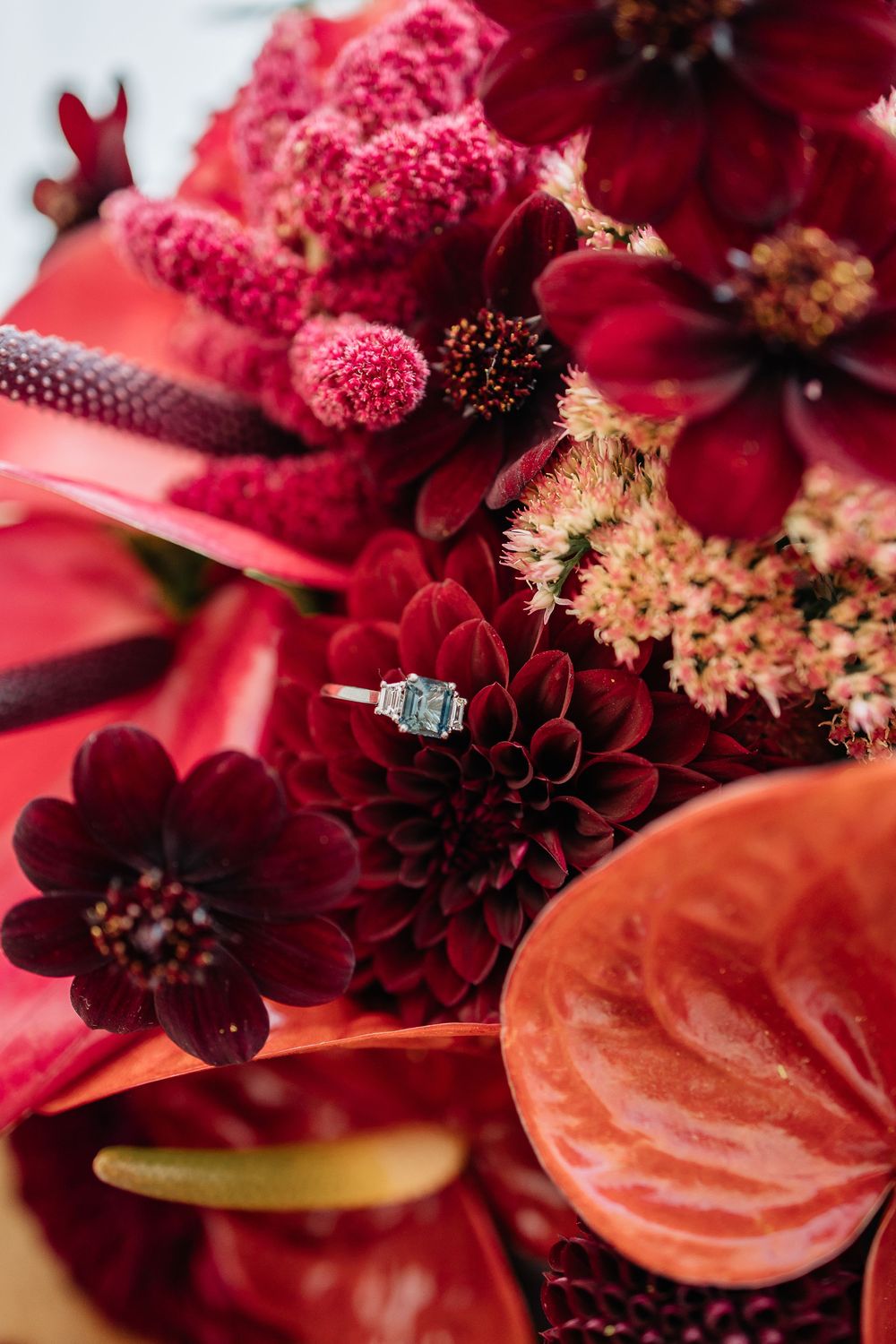 A diamond engagement ring nestled among deep red dahlias, pomegranate, and anthurium flowers in a romantic arrangement.