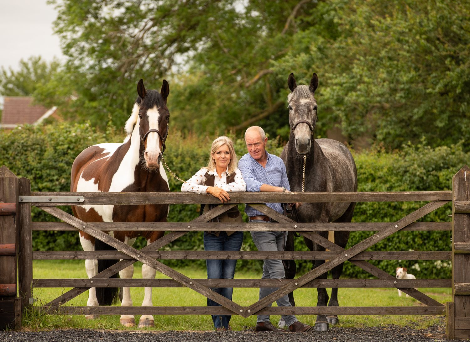Someone wearing a white patterned top lovingly strokes a brown horse in a sunny outdoor setting.