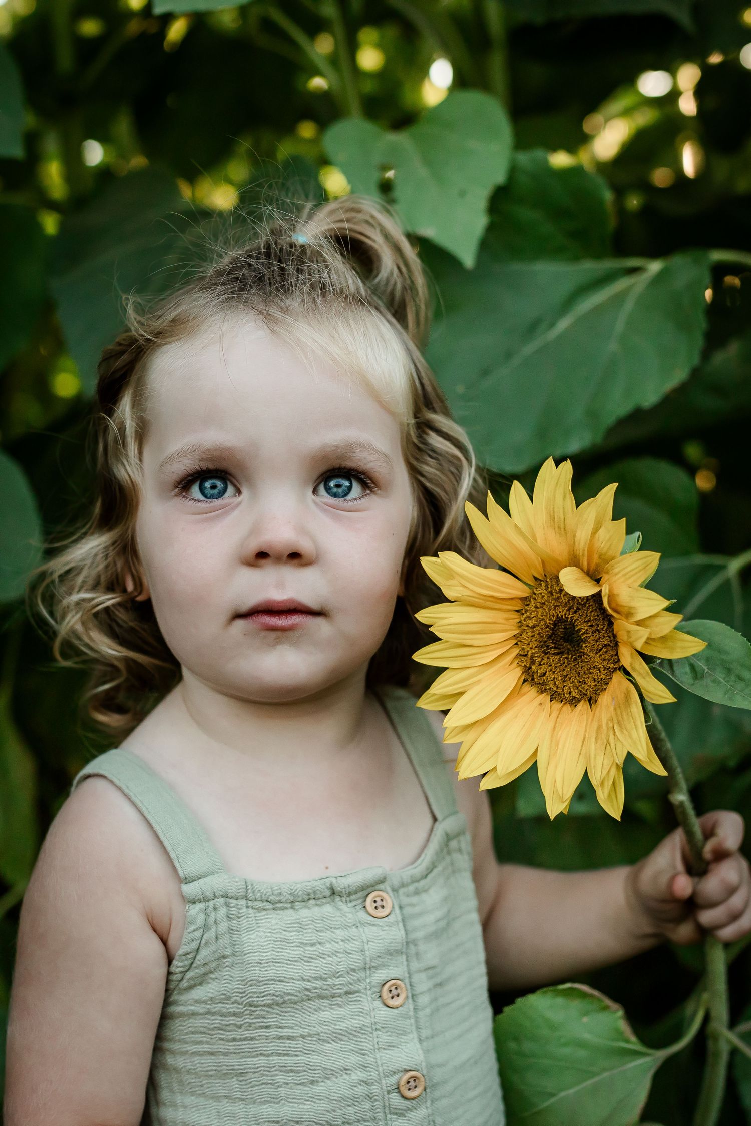 Beautiful portrait at sunflower fields in Bowden Alberta by Calgary lifestyle photographer.