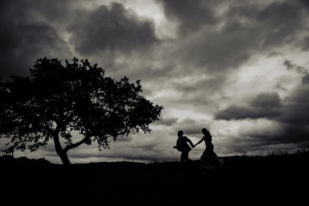 Dramatic silhouettes against stormy skies showcase solitary trees with dark moody clouds creating an atmospheric landscape scene.