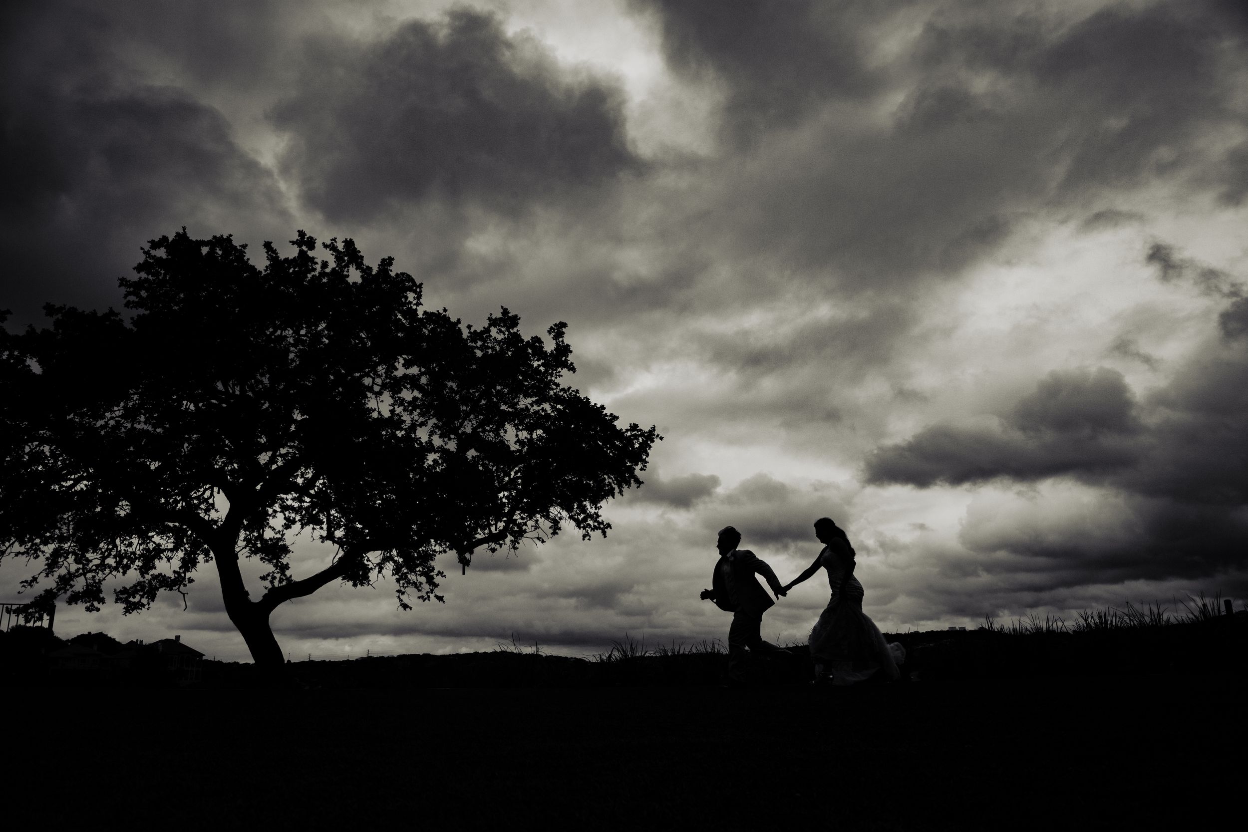 Dramatic silhouettes against stormy skies showcase solitary trees with dark moody clouds creating an atmospheric landscape scene.