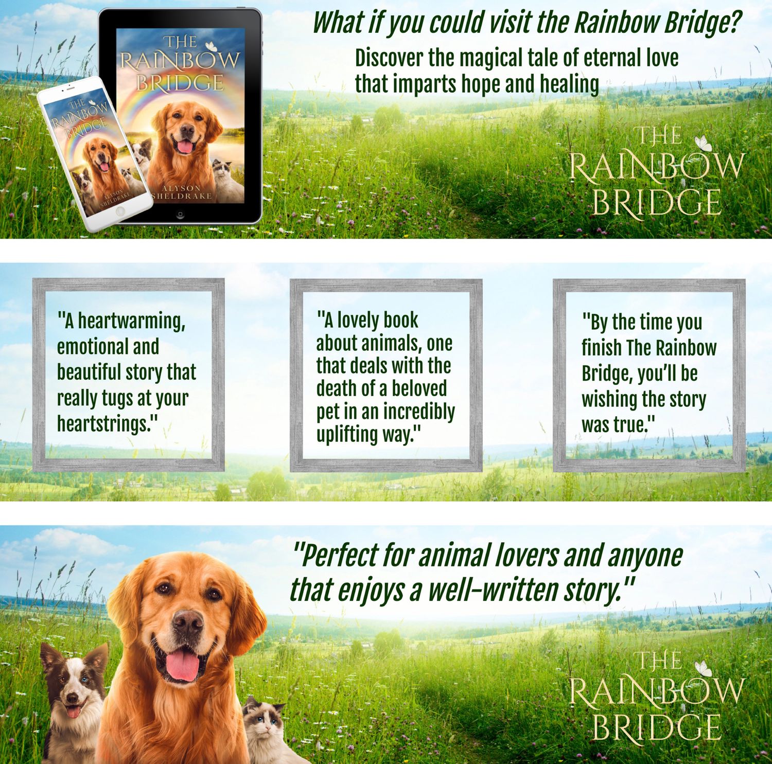 The Rainbow Bridge book by Alyson Sheldrake, a magical animal story offering hope, healing, and eternal love.