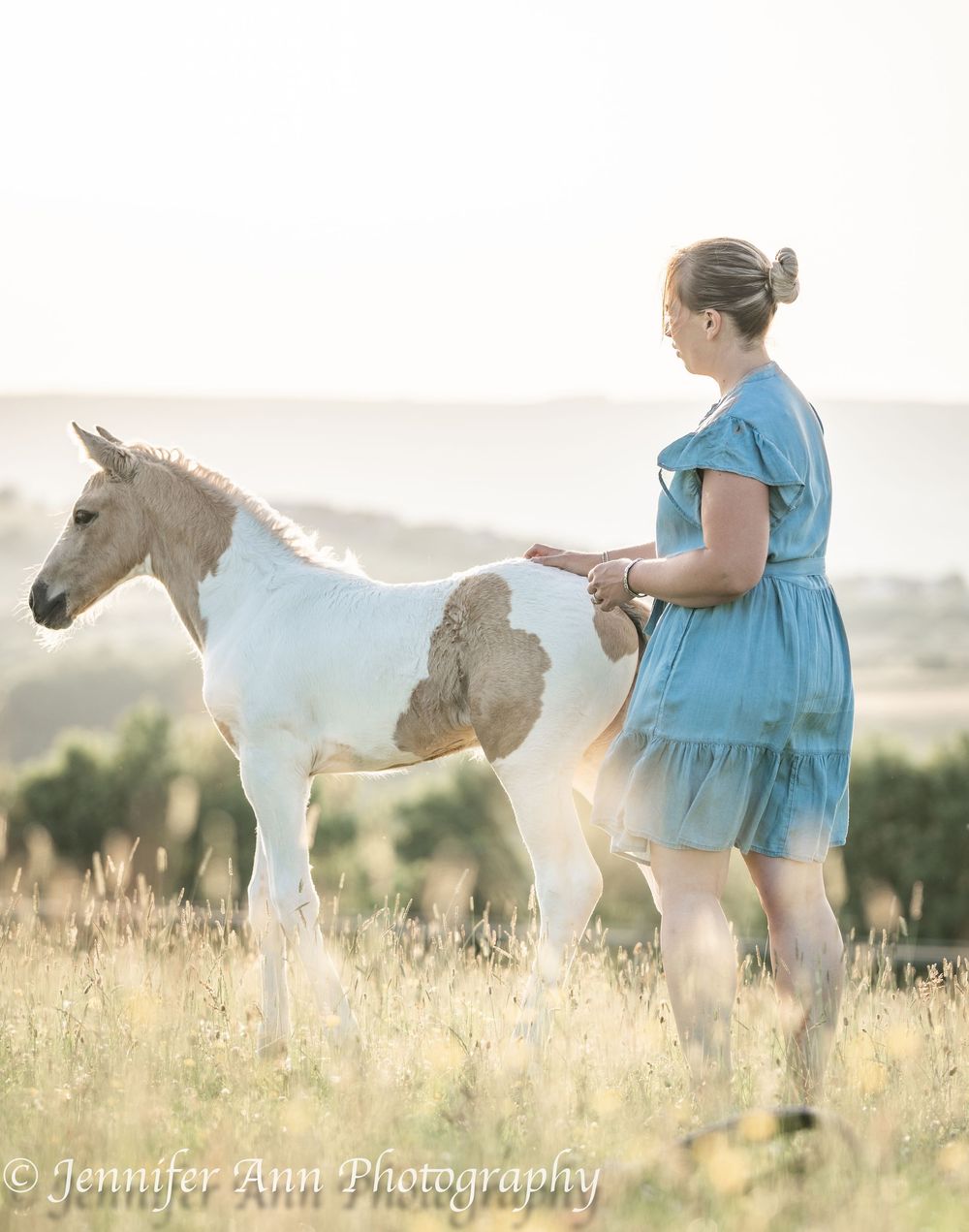 Paint foal with unique markings stands in a sunlit meadow at dusk.