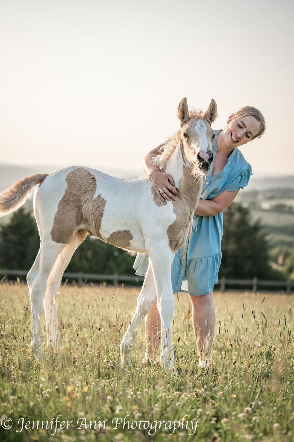 Young paint horse foal with brown and white markings standing in a summer field.