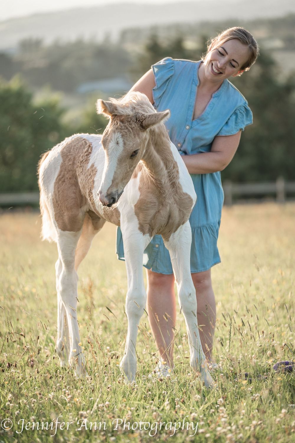 Paint foal with tan and white coloring in a sunlit pasture.