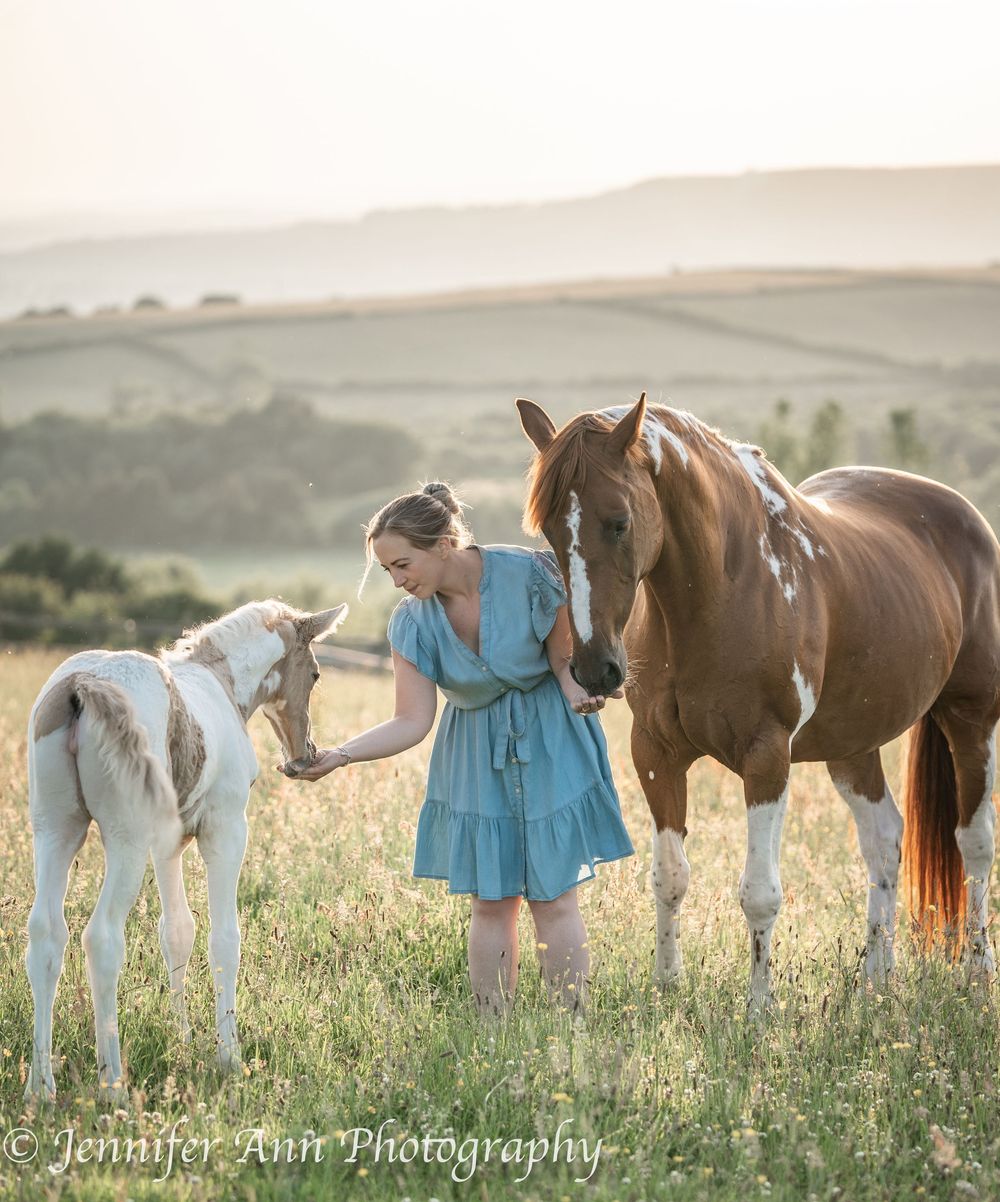 Paint mare and foal stand together in a rolling countryside meadow at sunset.