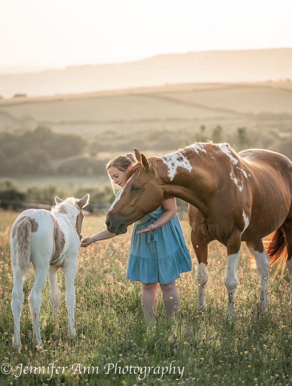 Mare and foal interact in a golden-lit meadow with rolling hills in background.