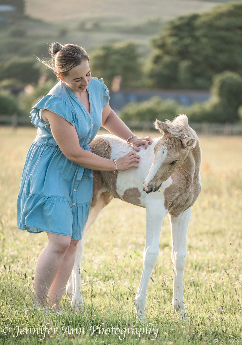 Paint foal with distinctive markings stands in summer meadow during golden hour.