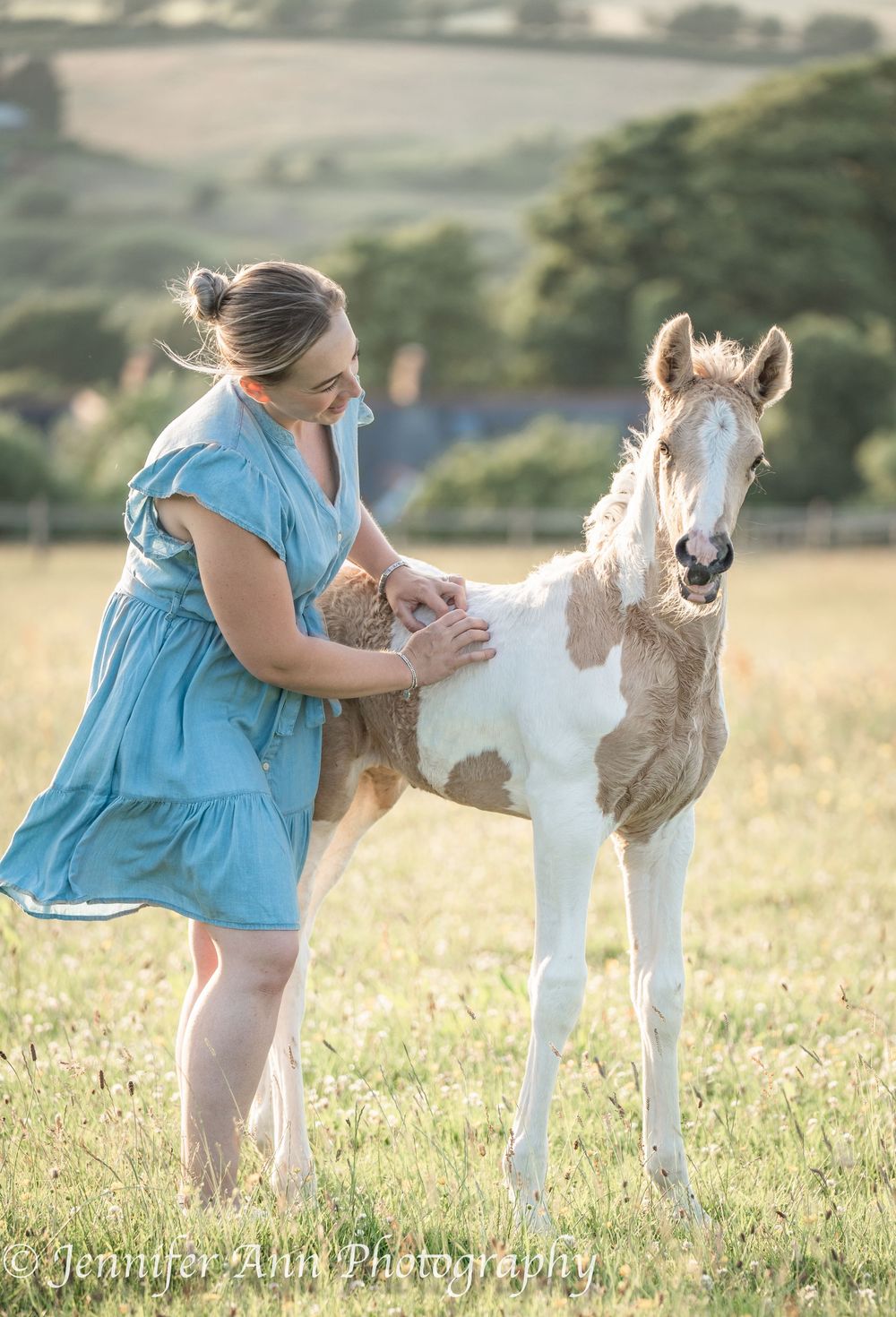 Young paint foal with brown and white markings stands in evening sunlight.