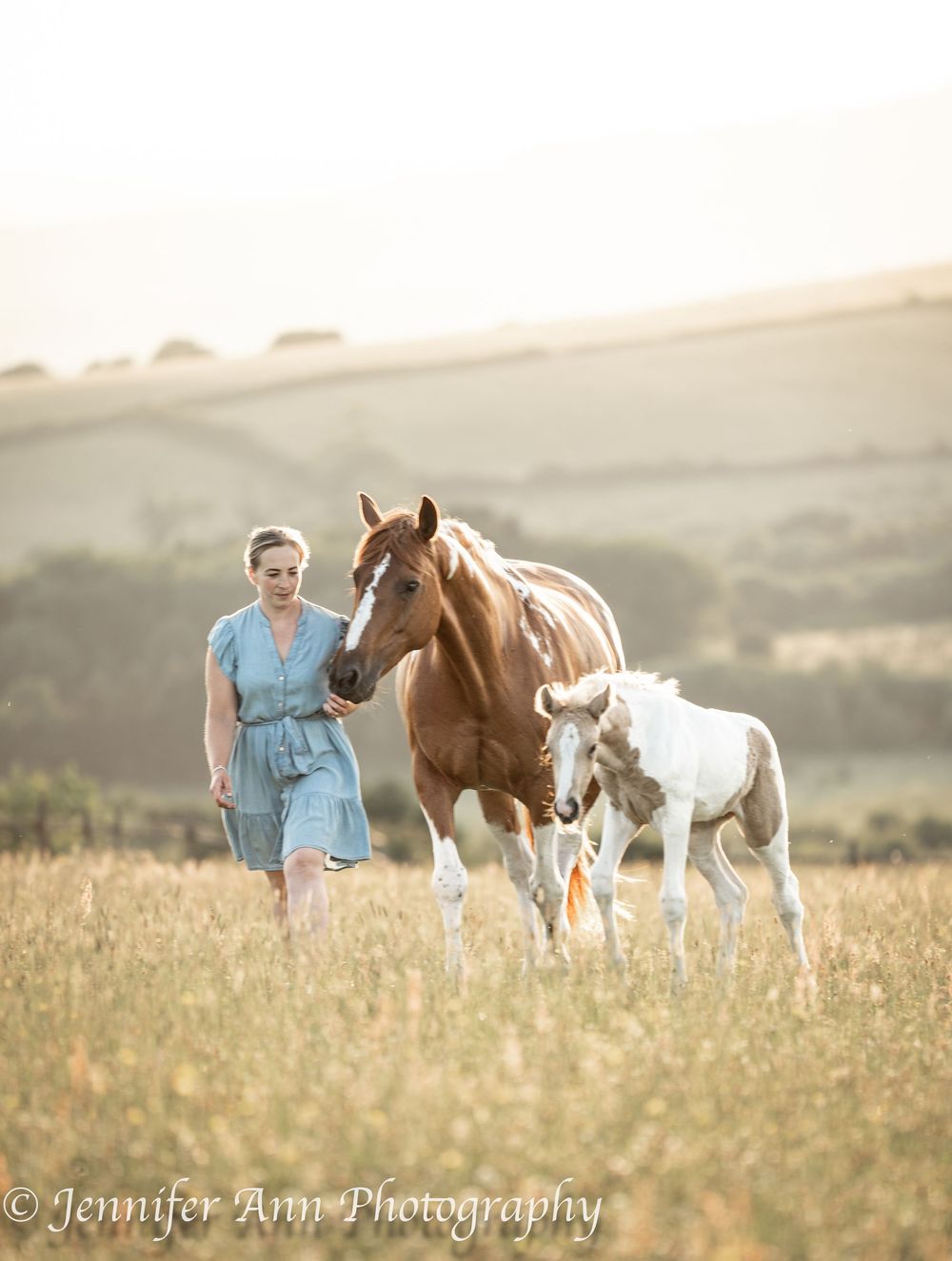 Horses graze peacefully in a sun-drenched meadow of wildflowers during golden hour.