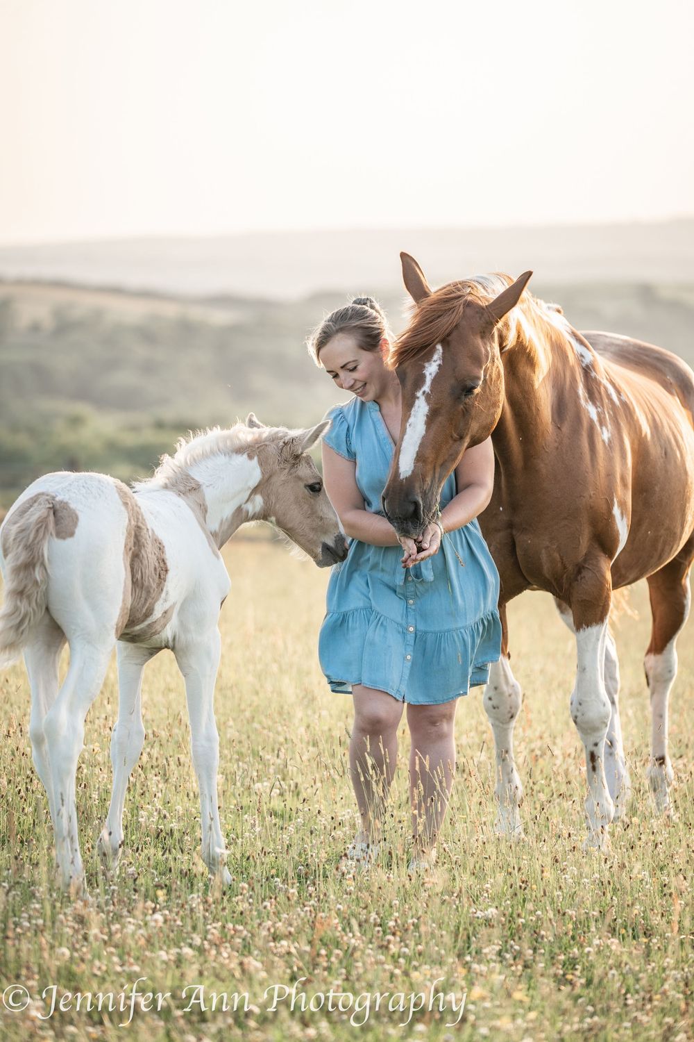 Horses and foals stand together in a sunlit field of summer flowers.