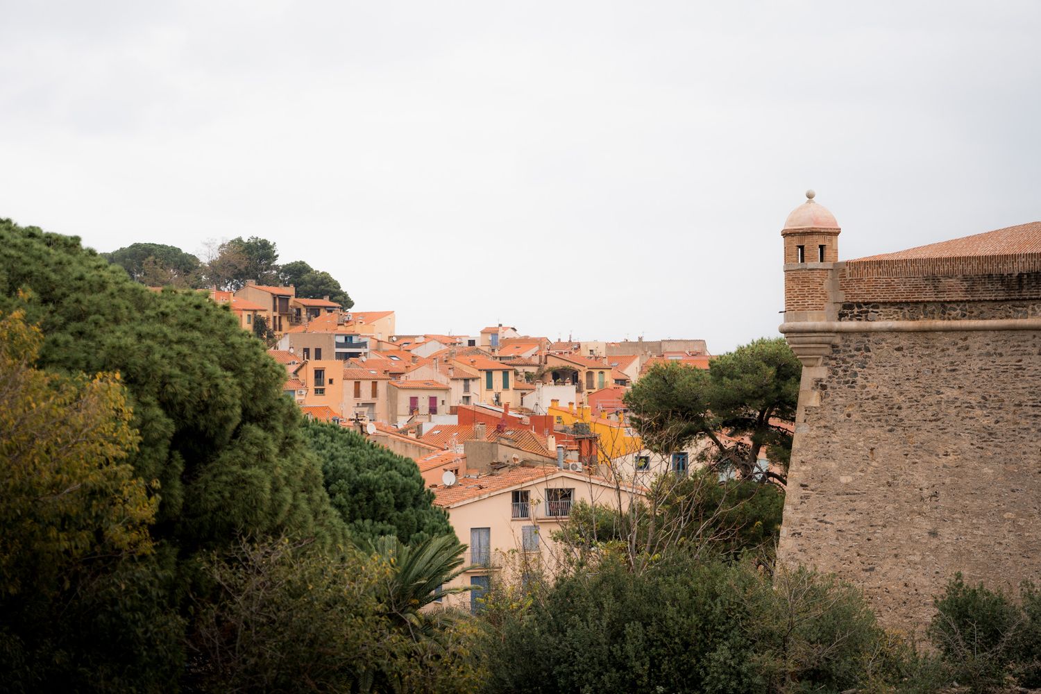 remparts du chateau royal de collioure
