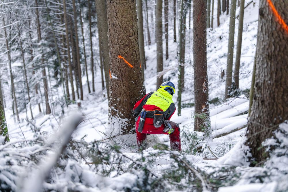 Logger in protective gear operates chainsaw in snowy mountain forest conditions.