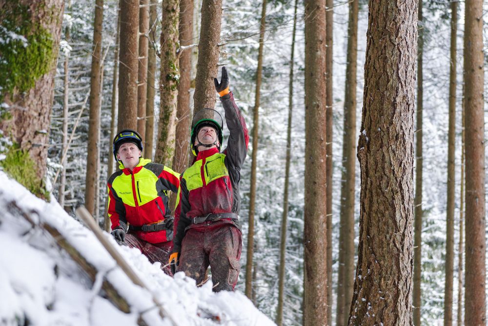 Forestry workers in high-visibility gear signal from snow-covered mountain slope.