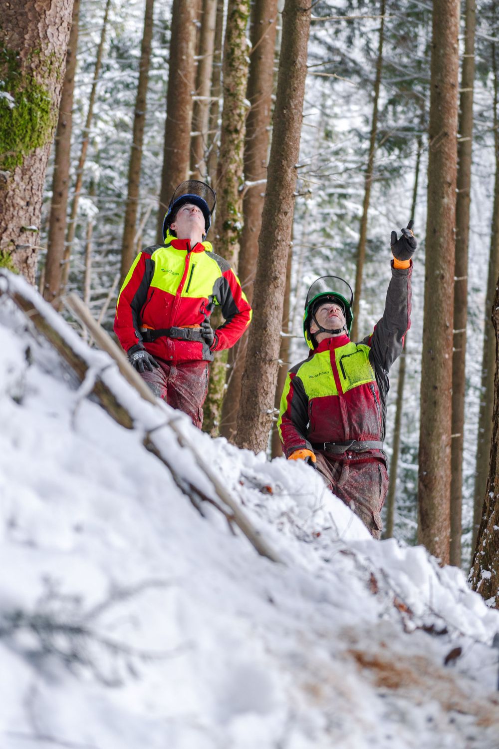 Two forestry workers in safety gear signal from snowy mountainside during winter logging operation.