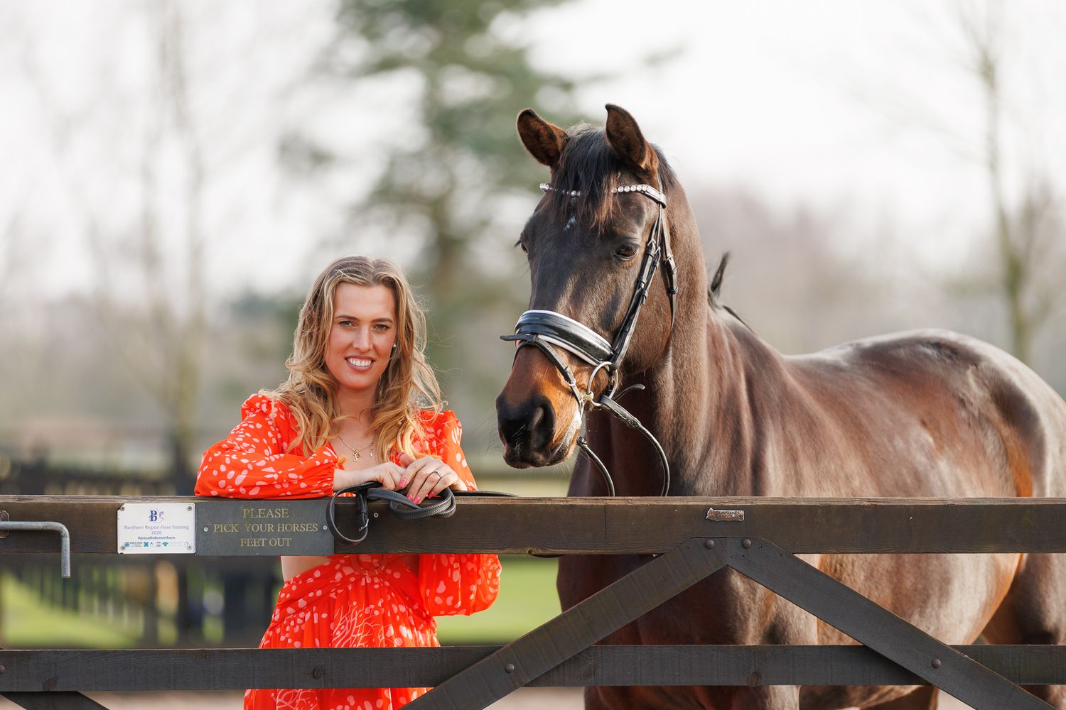 A person in a flowing red gown poses with a majestic black horse in an autumn forest setting.