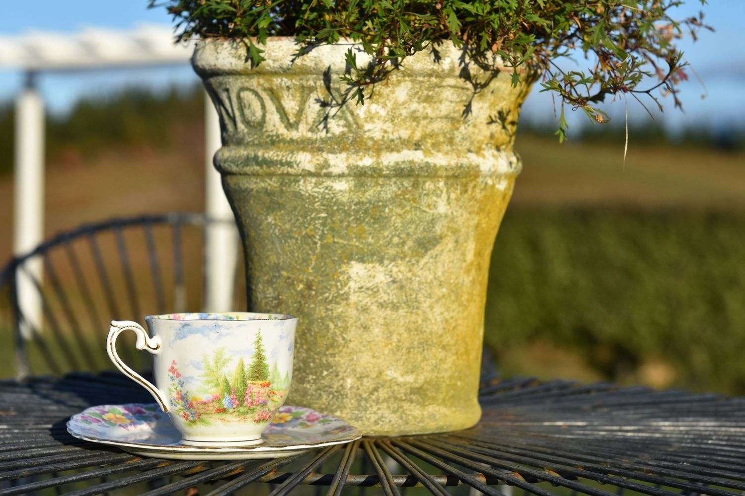 Elegant floral teacup and saucer on metal table beside a large stone planter with greenery outdoors.