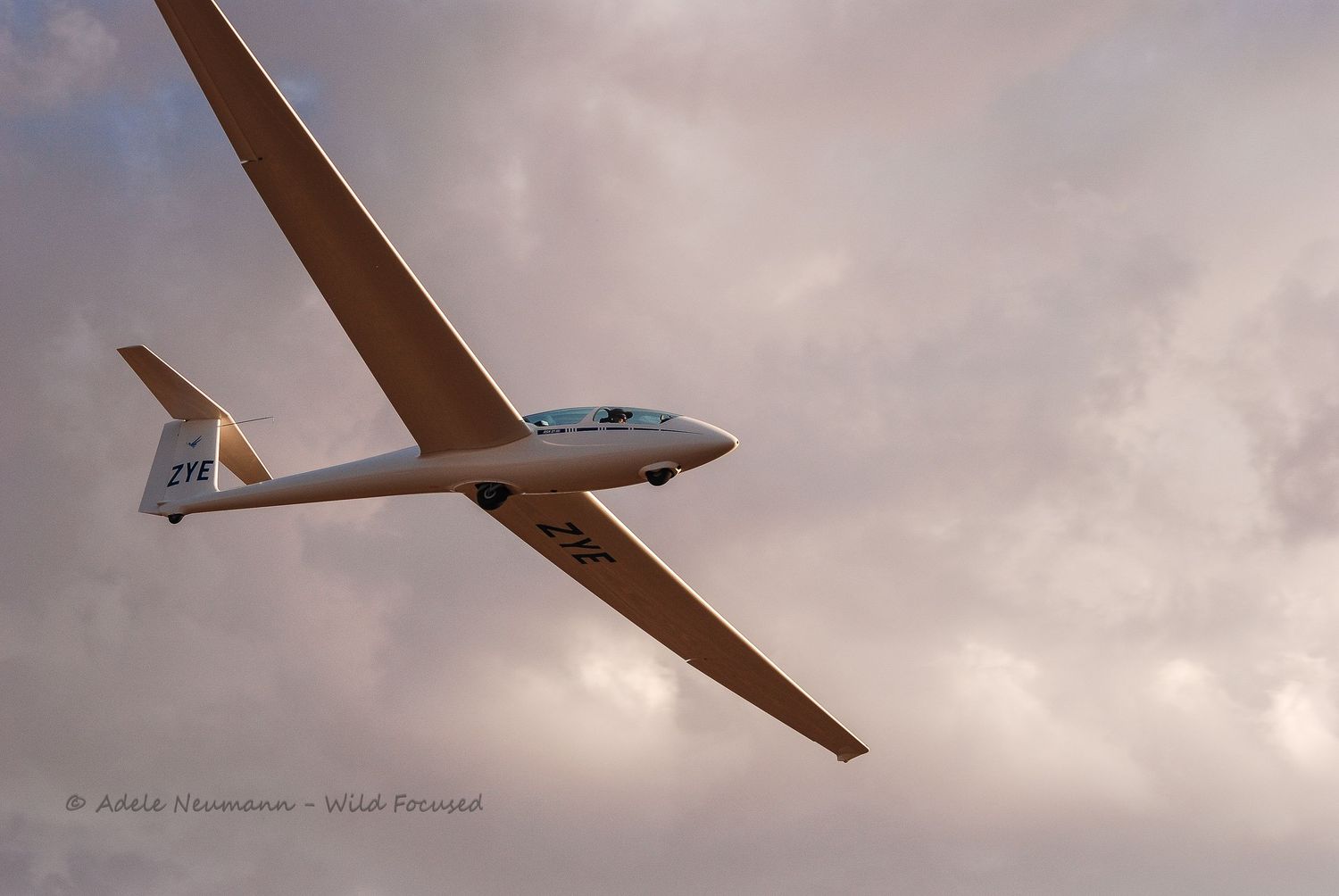 A sleek white glider soars gracefully through a dramatic cloudy sky at dusk, showcasing its long elegant wings.