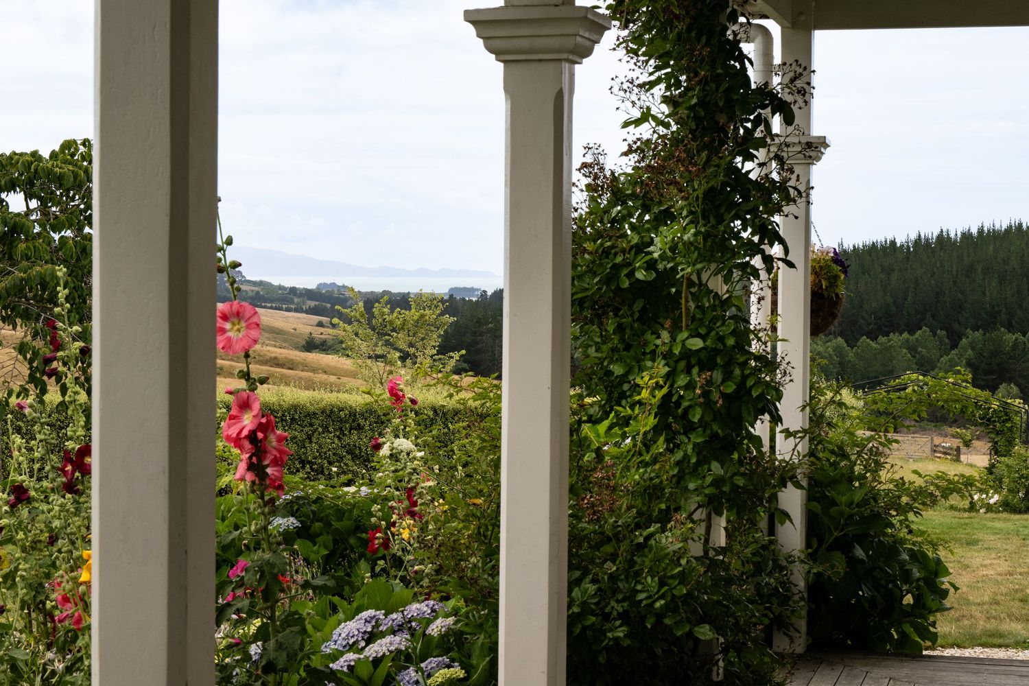 Lush garden view from a porch with white columns, featuring red hollyhocks, hydrangeas, and rolling green hills in the background.