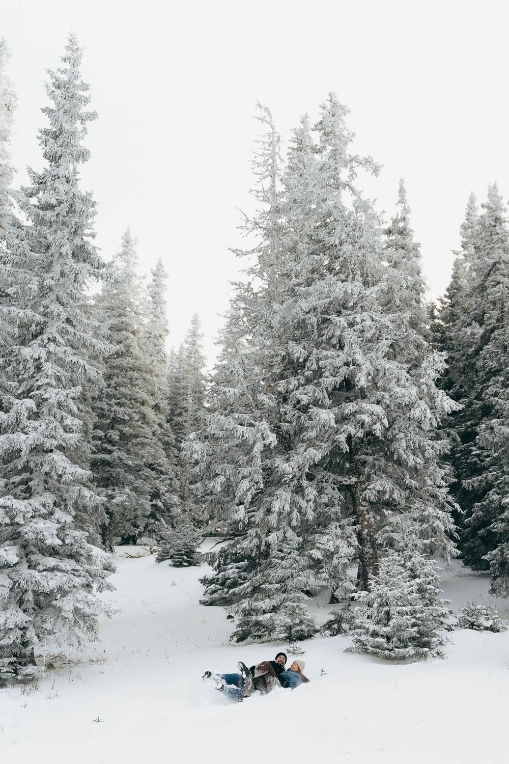 Couple relaxing in a snowy winter forest surrounded by tall snow-covered pine trees on a white winter day.