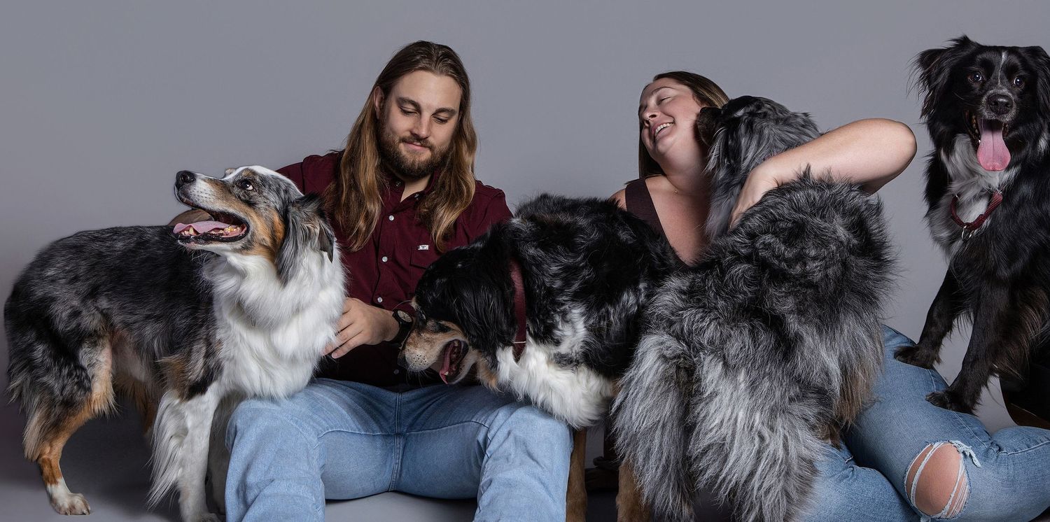 Two people sitting with four Australian Shepherd dogs posing for a professional pet portrait against a gray background.