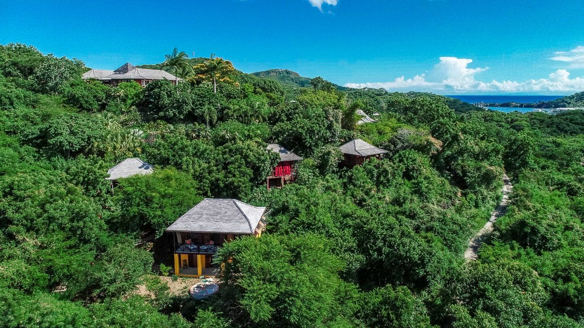 Aerial view of tropical resort bungalows nestled among lush green jungle trees with ocean views in the background.