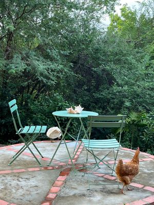 A chicken stands on a brick patio beside a teal bistro table and chairs set, surrounded by lush green trees.
