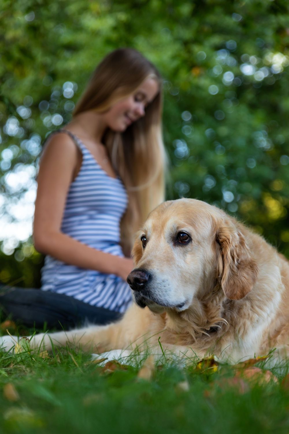 A golden retriever dog lying on green grass with a smiling young blonde woman sitting behind it outdoors.