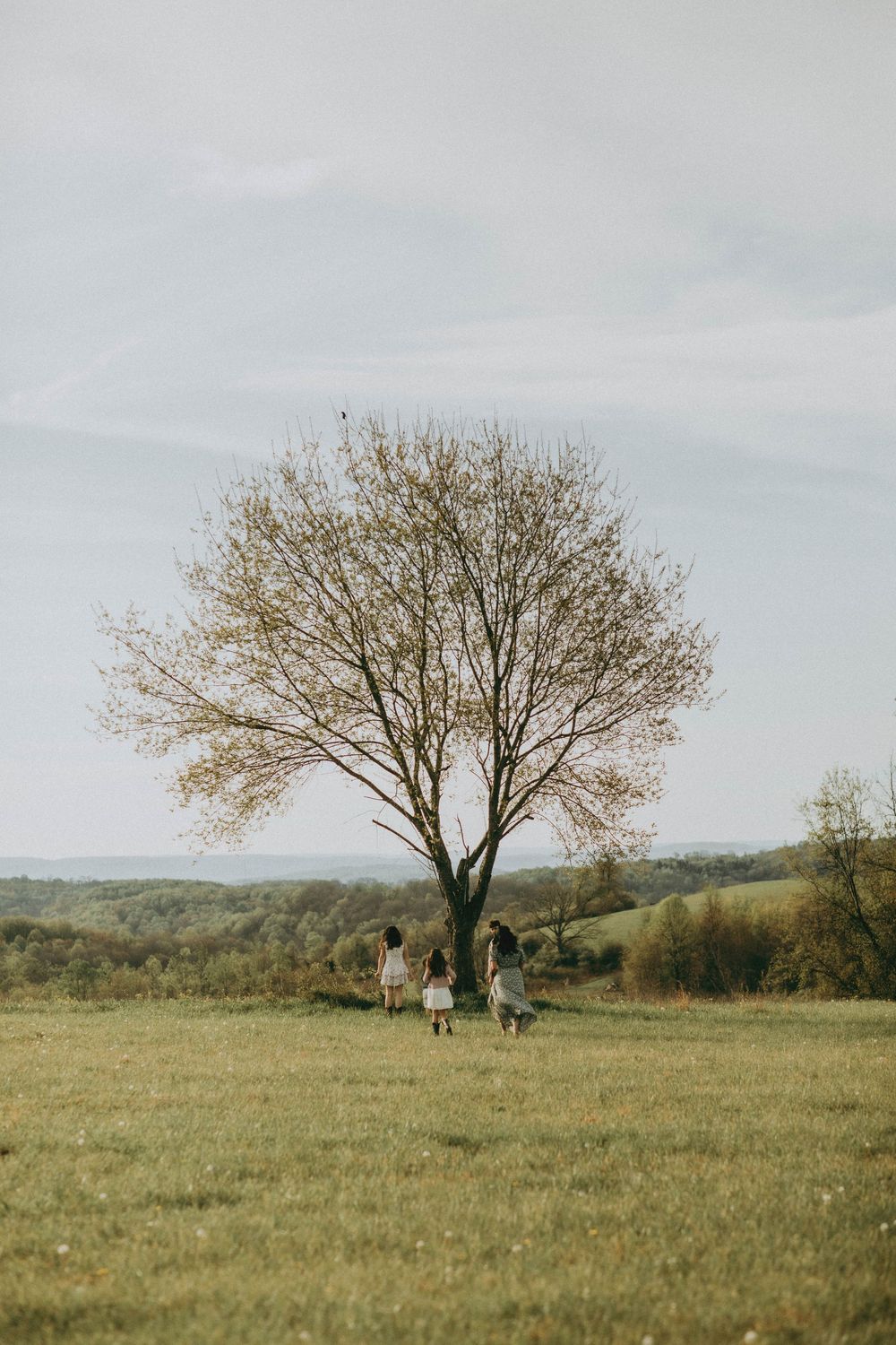 Three children running toward a lone autumn tree in a vast green meadow under a cloudy sky.