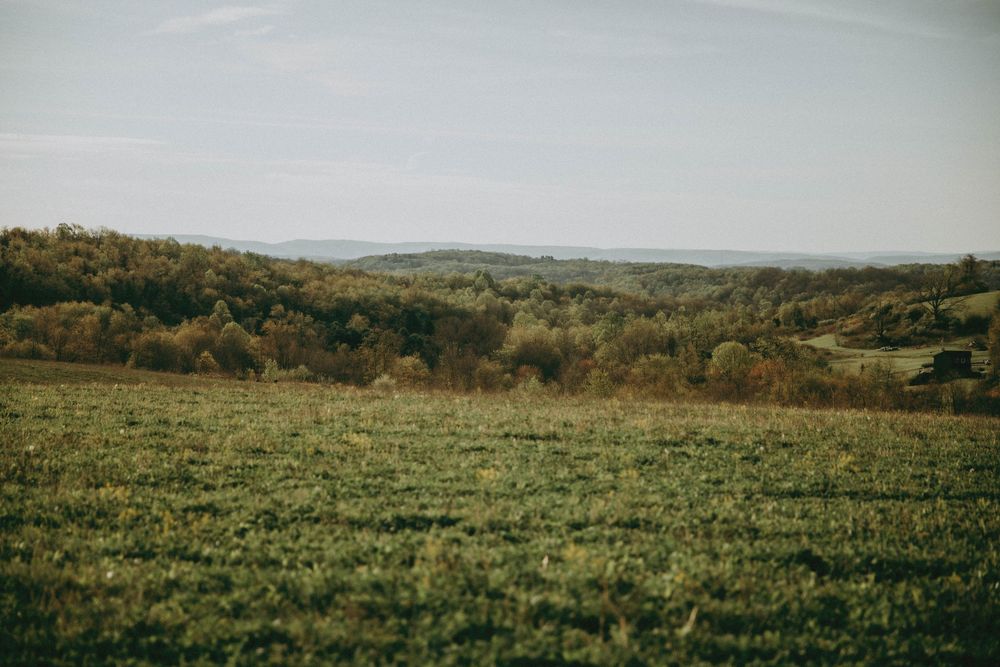 A scenic green meadow with autumn trees and rolling hills under a pale blue sky in a rural landscape.