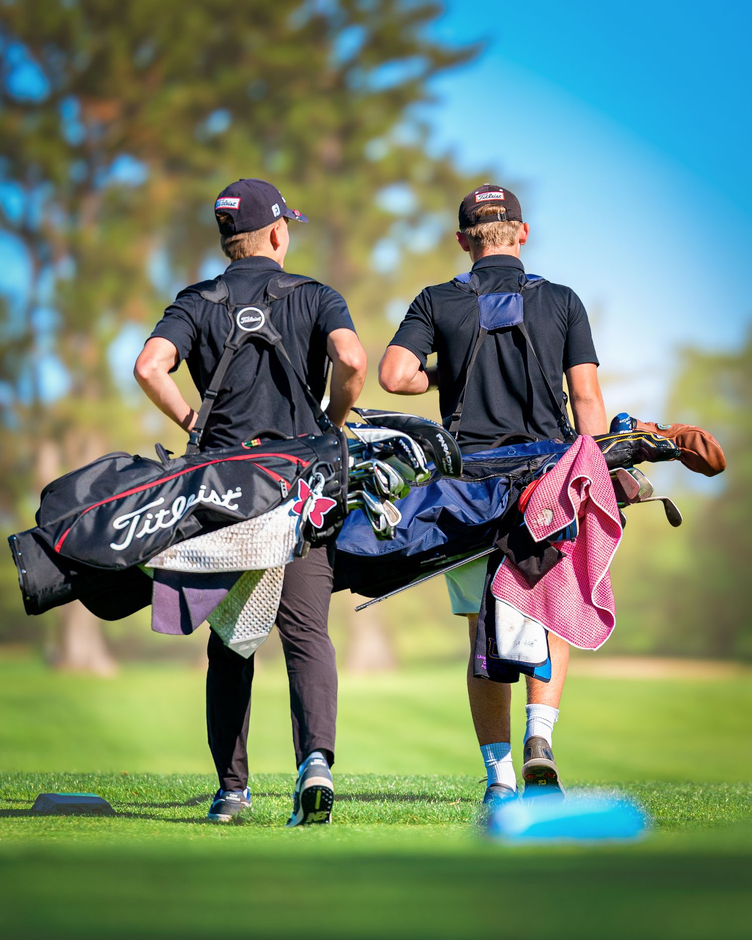 Two golfers carrying Titleist golf bags walk across a sunny green fairway during a round of golf.