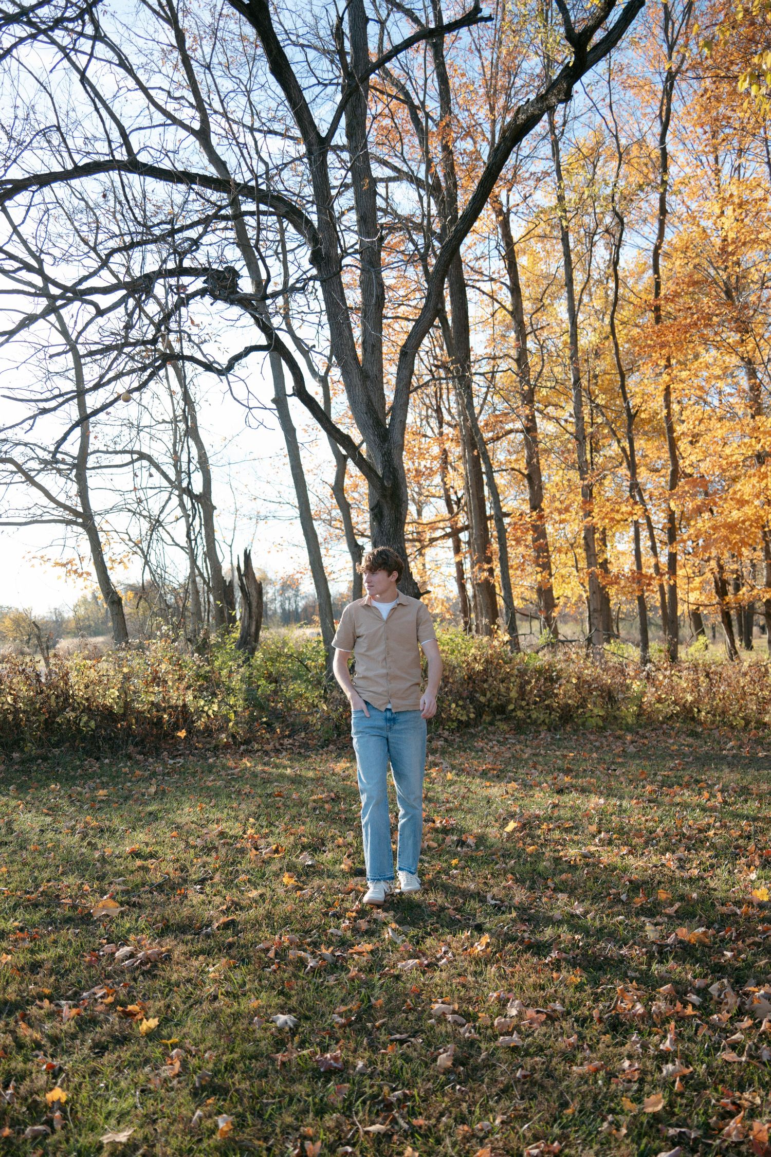 Young man in beige sweater and jeans walking through autumn forest with fallen leaves.