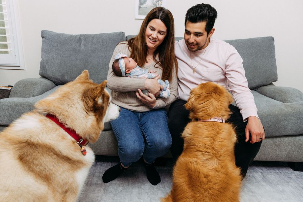 Newborn and family portraits in San Jose
